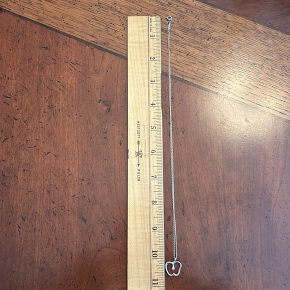 Tiffany & Co. Elsa Peretti Apple Necklace 20” Chain Sterling Silver - Picture 6 of 6